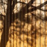 0004_2024-12-13-Nemunasglamping